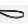 CONTINENTAL CTAM hosszbordás szíj 5PK1230