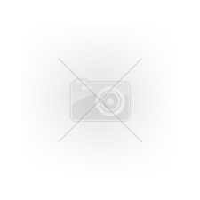 Continental VanContact 4Season ( 205/75 R16C 113/111R ) teher gumiabroncs