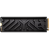 Corsair 1TB M.2 2280 NVMe MP700 ELITE with Heatsink (CSSD-F1000GBMP700EHS)