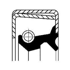 CORTECO tömítőgyűrű, kerékagy CORTECO 12013987B autóalkatrész