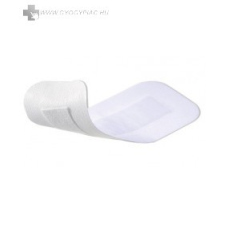Cosmopor e sebtapasz steril 25x10 cm 25 db gyógyászati segédeszköz