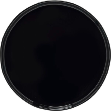 Costa Nova Desszertes tányér, Costa Nova Laguna 21 cm, fekete, megemelt perem tányér és evőeszköz
