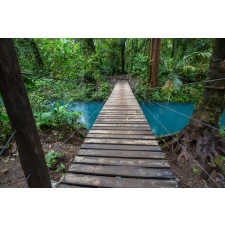  Costa Rica erdőtalaj tapéta, 400 x 250 cm tapéta, díszléc és más dekoráció