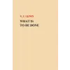 Createspace Independent Publishing Platform What Is To Be Done? | V I Lenin