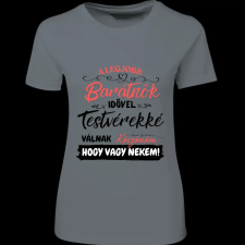 Createyou A Lbarátnők testvérekké válnak - Női - Szürke - 2XL női póló