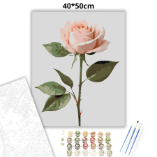 Creative Land Kft Bársonyos rózsaszál - számfestő készlet kreatív és készségfejlesztő