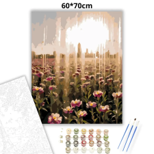 Creative Land Kft Ködös virágmező - számfestő készlet – 60×70 cm (Keretre feszítve) kreatív és készségfejlesztő