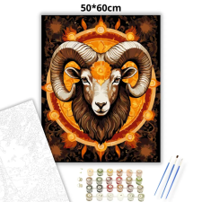 Creative Land Kft Kos tekintete - számfestő készlet – 50×60 cm (Keret nélkül) kreatív és készségfejlesztő