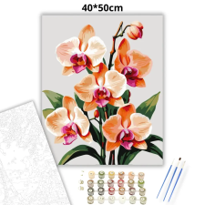 Creative Land Kft Letisztult orchidea virágzás - számfestő készlet kreatív és készségfejlesztő