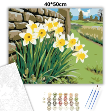 Creative Land Kft Nárciszok a kőfalnál - számfestő készlet kreatív és készségfejlesztő