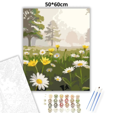Creative Land Kft Párás vadvirágos rét - számfestő készlet – 50×60 cm (Keretre feszítve) kreatív és készségfejlesztő