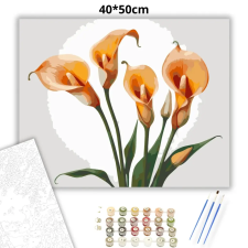 Creative Land Kft Szelíd kálák eleganciája - számfestő készlet – 40×50 cm (Keretre feszítve) kreatív és készségfejlesztő