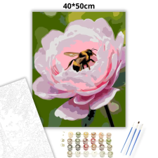 Creative Land Kft Üde bazsarózsa-pihenő - számfestő készlet – 40×50 cm (Keretre feszítve) kreatív és készségfejlesztő