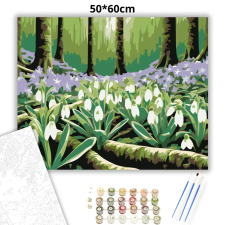 Creative Land Kft Üde hóvirágos tisztás - számfestő készlet – 50×60 cm (Keret nélkül) kreatív és készségfejlesztő