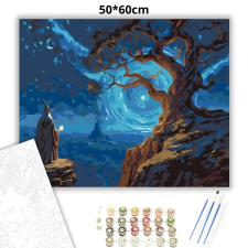 Creative Land Kft Varázskapu - számfestő készlet – 50×60 cm (Keretre feszítve) kreatív és készségfejlesztő