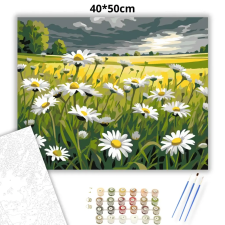 Creative Land Kft Viharfelhők árnyékában - számfestő készlet – 40×50 cm (Keretre feszítve) kreatív és készségfejlesztő