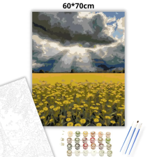 Creative Land Kft Viharos repcemező - számfestő készlet – 60×70 cm (Keret nélkül) kreatív és készségfejlesztő