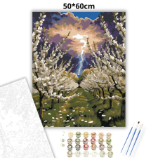 Creative Land Kft Viharos virágzás - számfestő készlet – 50×60 cm (Keretre feszítve) kreatív és készségfejlesztő