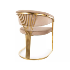  Crown Velvet Bársony Étkezőszék Bézs Arany Vázzal bútor