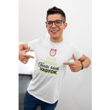  Csak nyugi tanító bácsi fehér póló egyedi ajándék