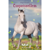  Csapatszellem - Tilly és Táltos 1.