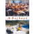 Cser Kiadó A bajhozó (DVD)