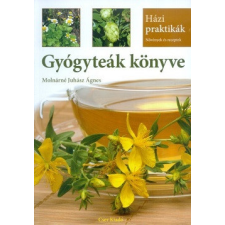 Cser Kiadó Gyógyteák könyve /Házi praktikák gasztronómia