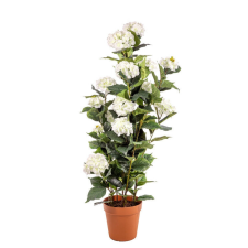  Cserepes Hortenzia fehér nagy 140 cm dekoráció