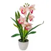  Cserepes orchidea gumi fehér-rózsaszín 42cm