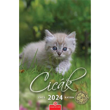 CSG Naptár, fali, CSG, &quot;Cicák&quot; naptár, kalendárium