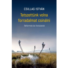 Csillag István - Tetszettünk volna forradalmat csinálni - Reformok és fordulatok regény