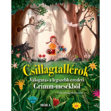  Csillagtallérok - Válogatás a legszebb Grimm-mesékből gyermek- és ifjúsági könyv