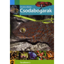 CSODABOGARAK - DIVATOS ÁLLATOK - TÁRSÁLLATOK 3. hobbi, szabadidő