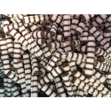 Csoki dísz 50g - Penne rudak sütés és főzés