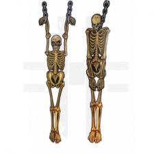  CSONTVÁZ FALI DEKOR party kellék