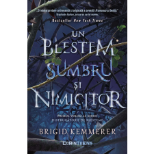 Curse Destroyers Vol. 1: Egy komor és pusztító átok - Brigid Kemmerer regény