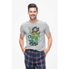 D&B Férfi Unisex Póló PC00002 Aquaman Szürke-Méret S férfi póló