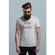  D&B Férfi/Unisex Póló ST00108 Sister Szürke-Méret 3XL
