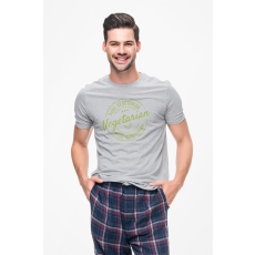  D&B Férfi/Unisex Póló ST00157 Vegetarian Szürke-Méret 5XL