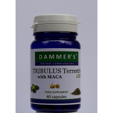 Dammers Tribulus Terrestris királydinnye kapszula 40 db gyógyhatású készítmény