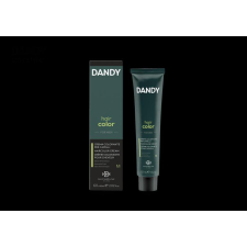 Dandy Hair Color férfi hajszínező 4 60ml hajfesték, színező