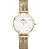 Daniel Wellington Petite Evergold 28 mm Gold