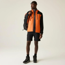 Dare2be Mountaineer Jkt Férfi softshell 15000 mm színes