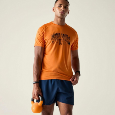 Dare2be Tech II Tee Férfi gyorsan száradó póló színes