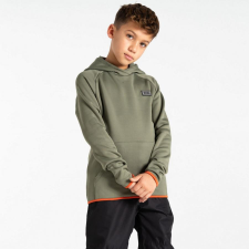 Dare2be Traverse Hoodie Gyerek kapucnis pulóver zöld gyerek pulóver, kardigán