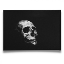 Dark Skull - Vászonkép grafika, keretezett kép