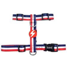 Dashi Stripes Red&amp;Blue H-hám nyakörv, póráz, hám kutyáknak