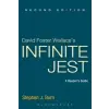  David Foster Wallace's Infinite Jest – Stephen J Burn