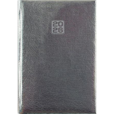 DAYLINER Naptár, tervező, A5, heti, DAYLINER, Mirror, ezüst (NMHEU) határidőnapló
