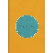 DAYLINER Naptár, tervező, A5, napi, DAYLINER "Central", sárga-türkiz határidőnapló